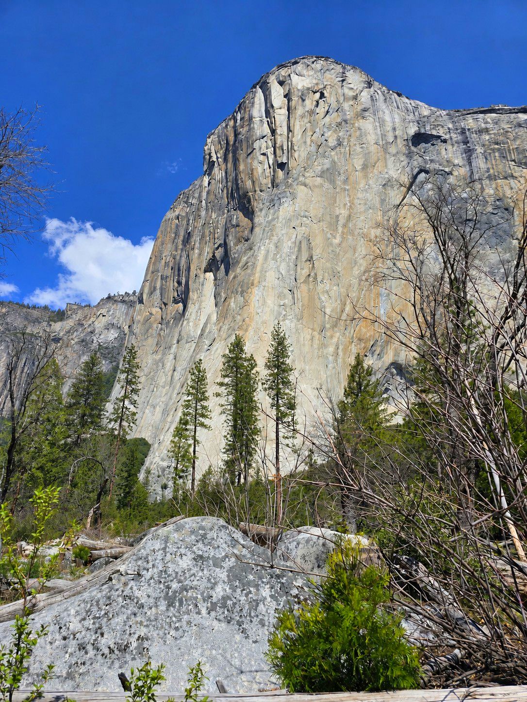 El Capitan
